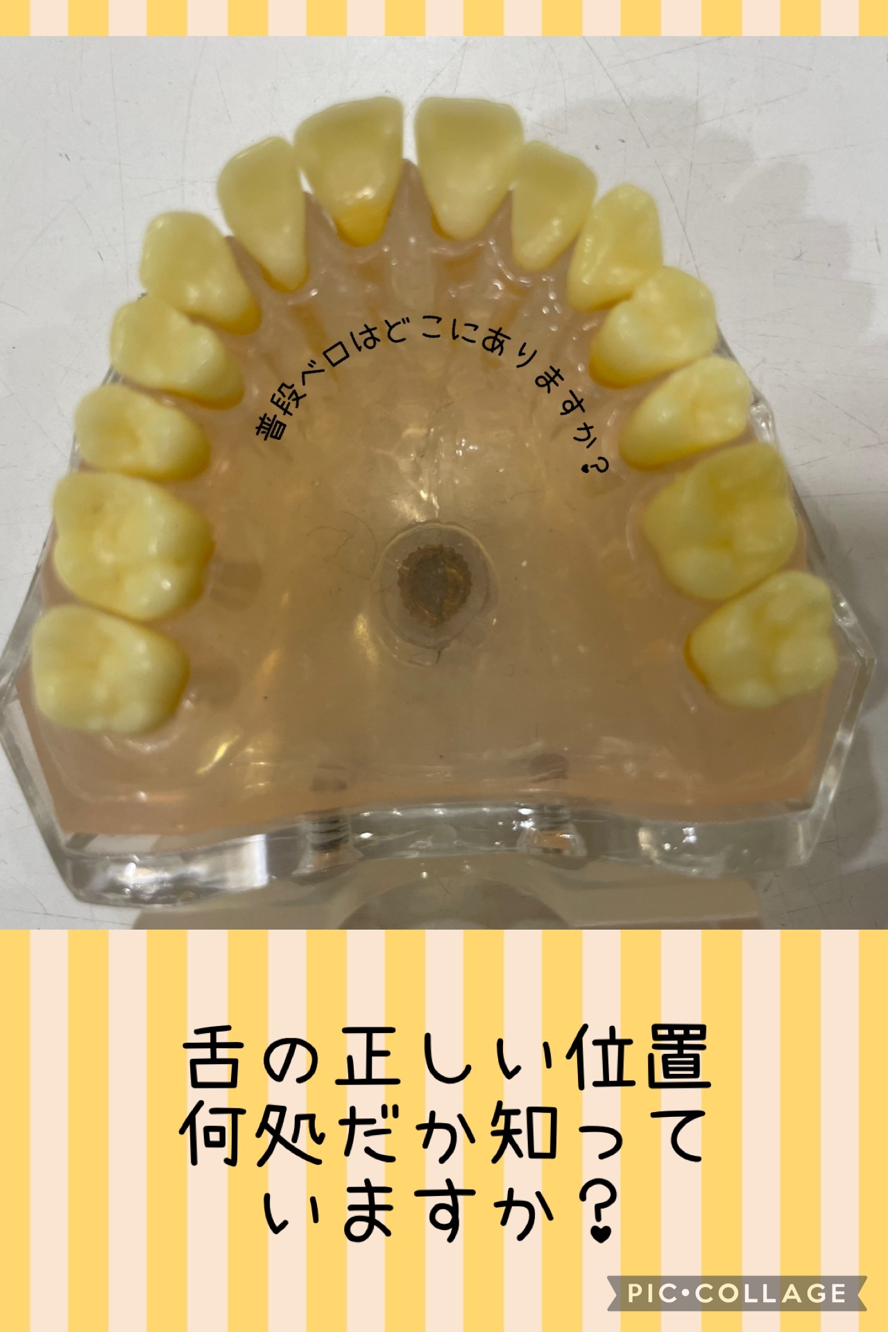 ベロの位置