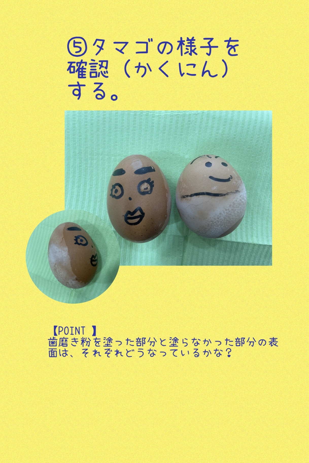 実験